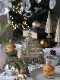 Lene Bjerre���� �饤�ȥ������