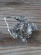 Pewter�ʥץ�����Acorn Wreath