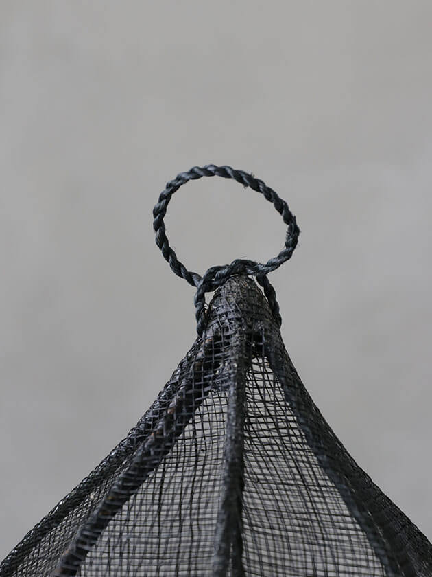 Fiorira un Giardino�ա��ɥ��С� �֥�å�S