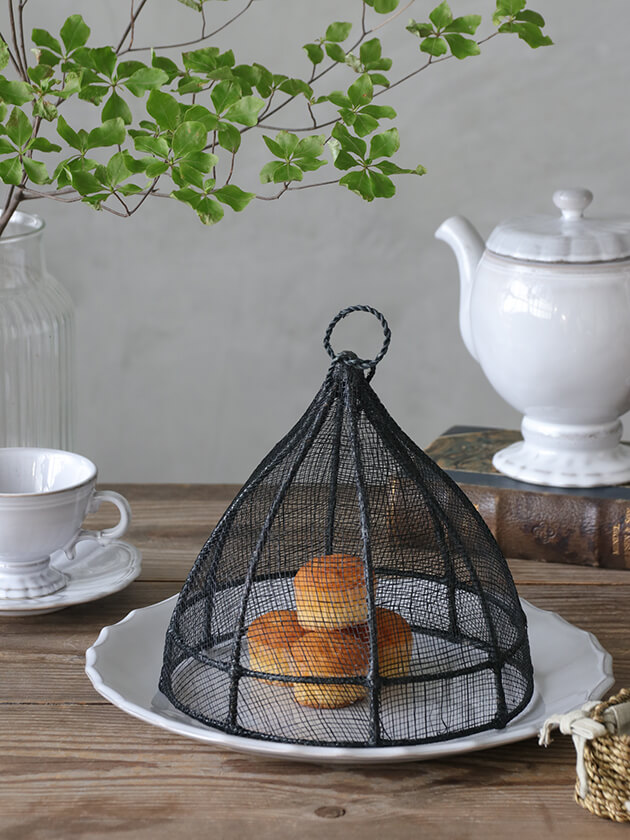 Fiorira un Giardino�ա��ɥ��С� �֥�å�S