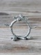 Pewter�ʥץ�����Pinecone