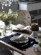 Haomy��ͥ�ץ졼���ޥå�VENISE�֥�å�35x47cm