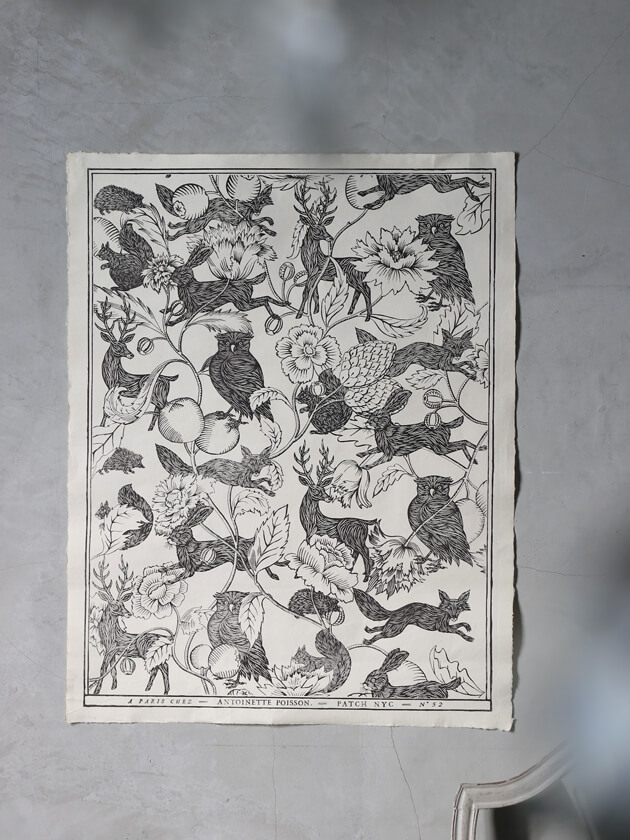 Antoinette Poisson�ɥߥΥڡ��ѡ�52D��	51.5 x 66cm