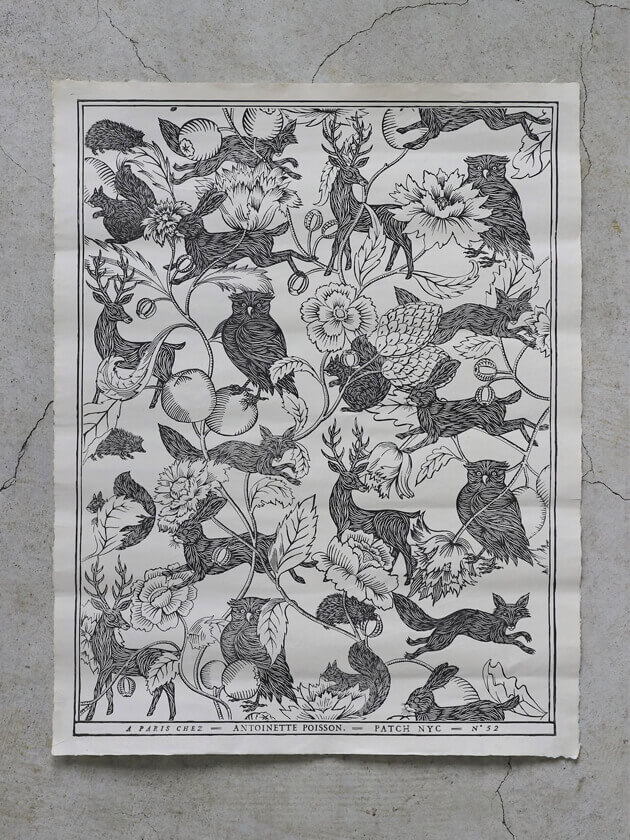 Antoinette Poisson�ɥߥΥڡ��ѡ�52D��	51.5 x 66cm