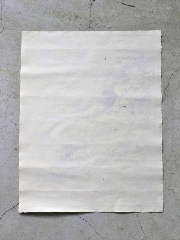 Antoinette Poisson�ɥߥΥڡ��ѡ�52D��	51.5 x 66cm