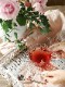 ���饹���åס���������Frill