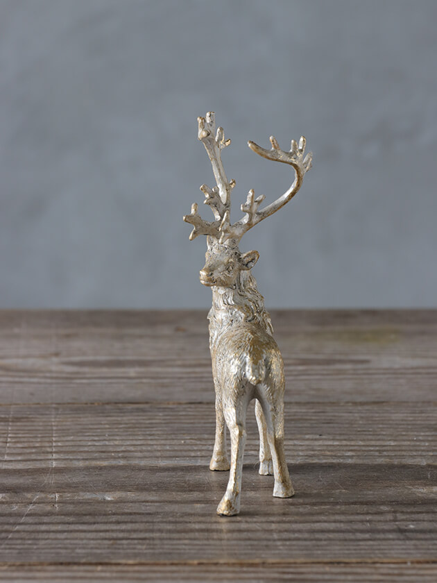 Lene Bjerre�ȥʥ���standing E�饤�ȥ������