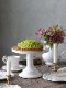 Cozy Living�������������ME �ۥ磻��19cm