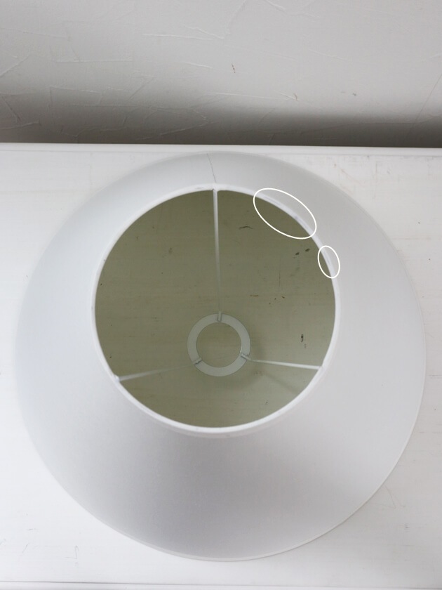 QUAINT&QUALITYɥۥ磻40cm