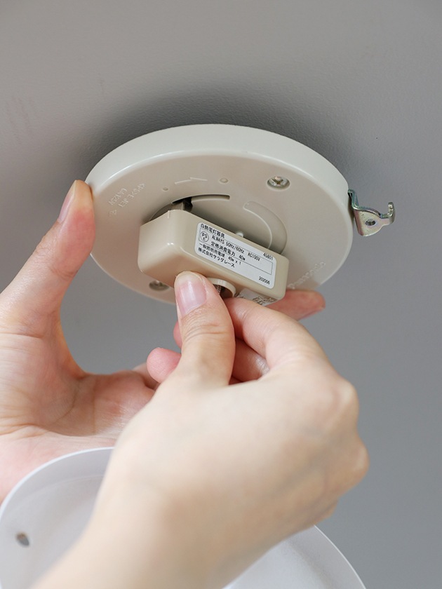 Maioliche d'AutoreڥȥBianca