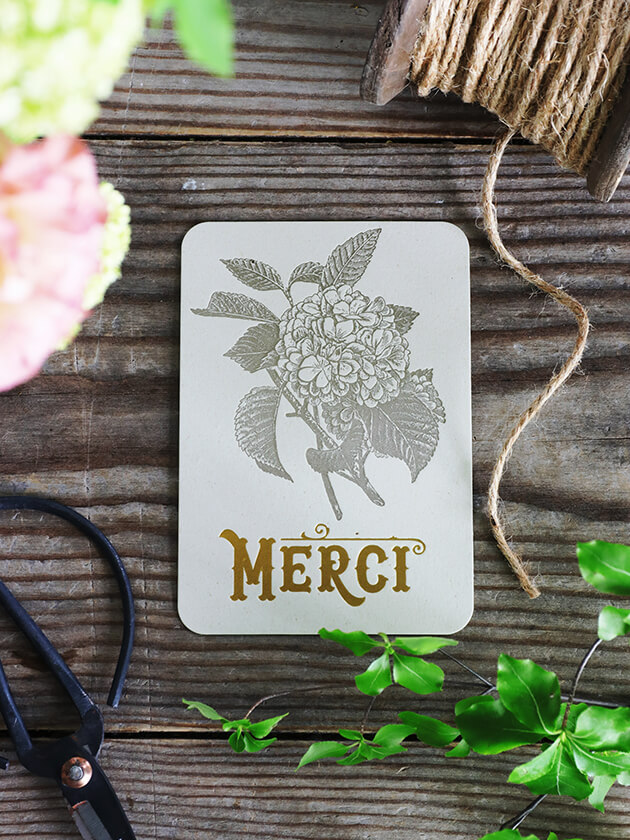 LetterPressMerci Hortensia