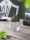 Pewter���饹��ʪ����ɤ󤰤�Τդ�