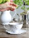 �ƥ������ȥ졼�ʡ�TEA POT