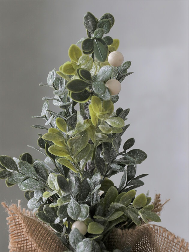 3_000000021799.jpg?1678209904