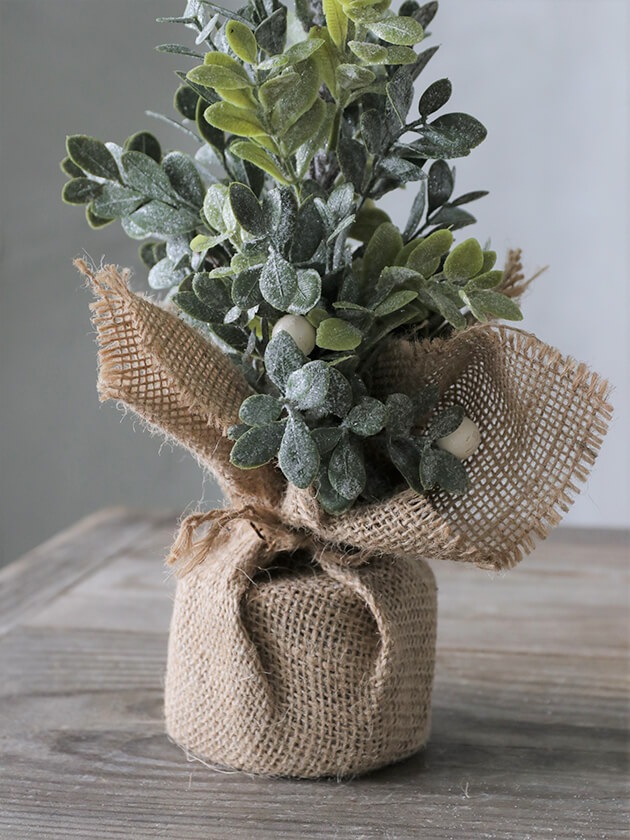 ���ꥹ�ޥ��ĥ꡼Lucia33cm