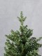 ���ꥹ�ޥ��ĥ꡼120cm