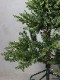 ���ꥹ�ޥ��ĥ꡼120cm