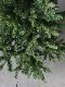 ���ꥹ�ޥ��ĥ꡼120cm