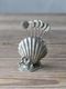 Pewter�ԥå����å�Shell