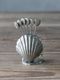Pewter�ԥå����å�Shell