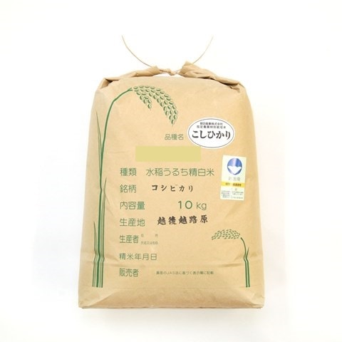 【令和7年度産】特別栽培米コシヒカリ　10ｋｇ