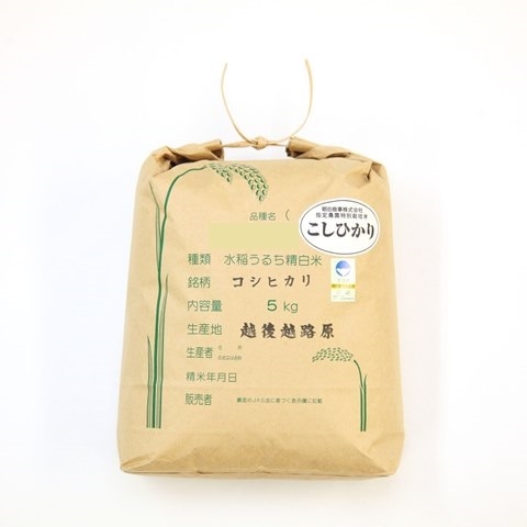 【令和7年度産】特別栽培米コシヒカリ　５ｋｇ