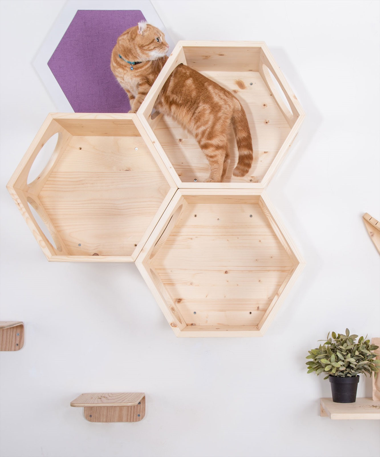 ◆美品◆ MYZOO 六角ハウス MYZOO〈マイズー〉六角ハウス ビジーキャット #SALE | ペット用品,猫用