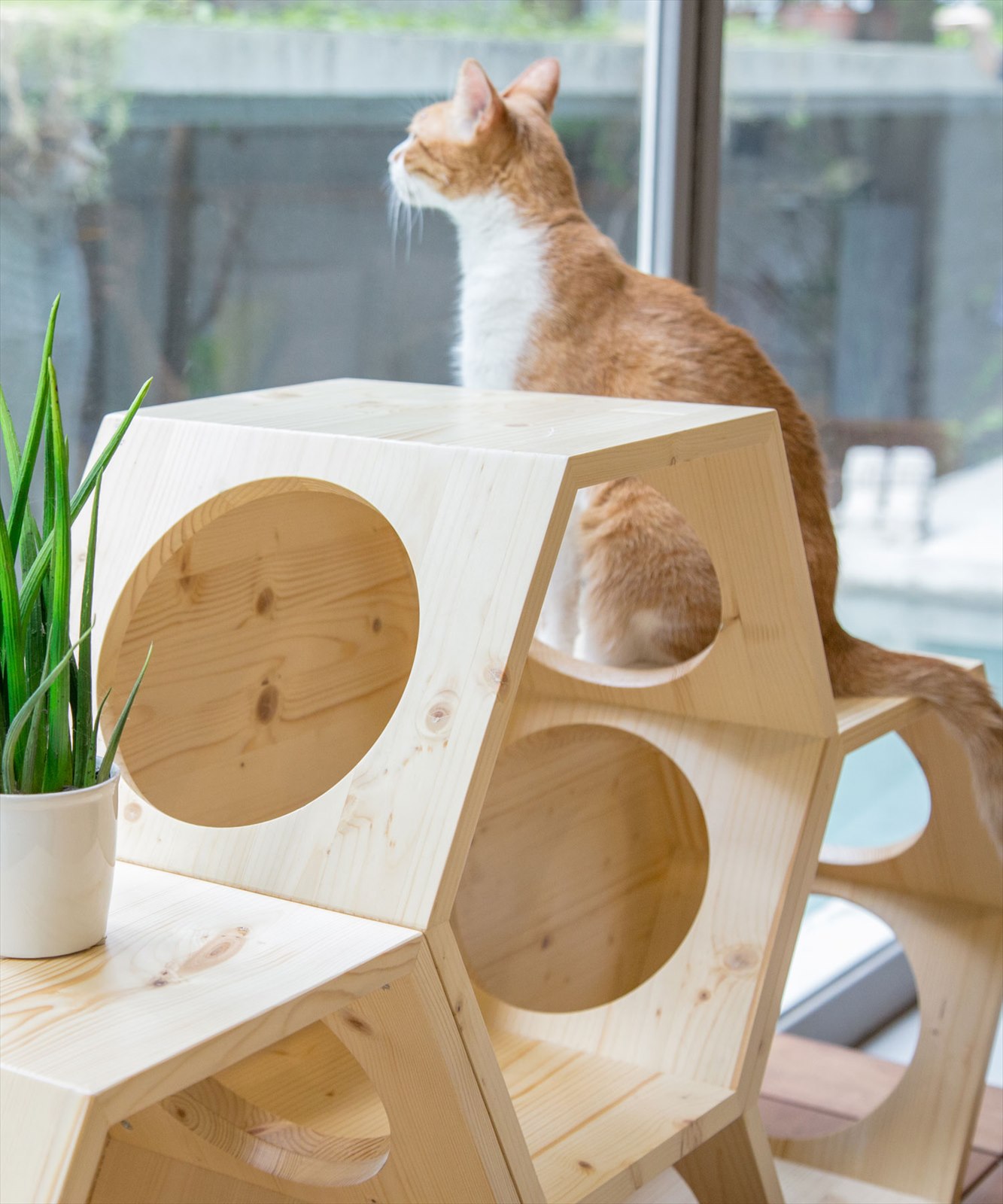 MYZOO〈マイズー〉六角ハウス ビジーキャット #SALE | ペット用品,猫用