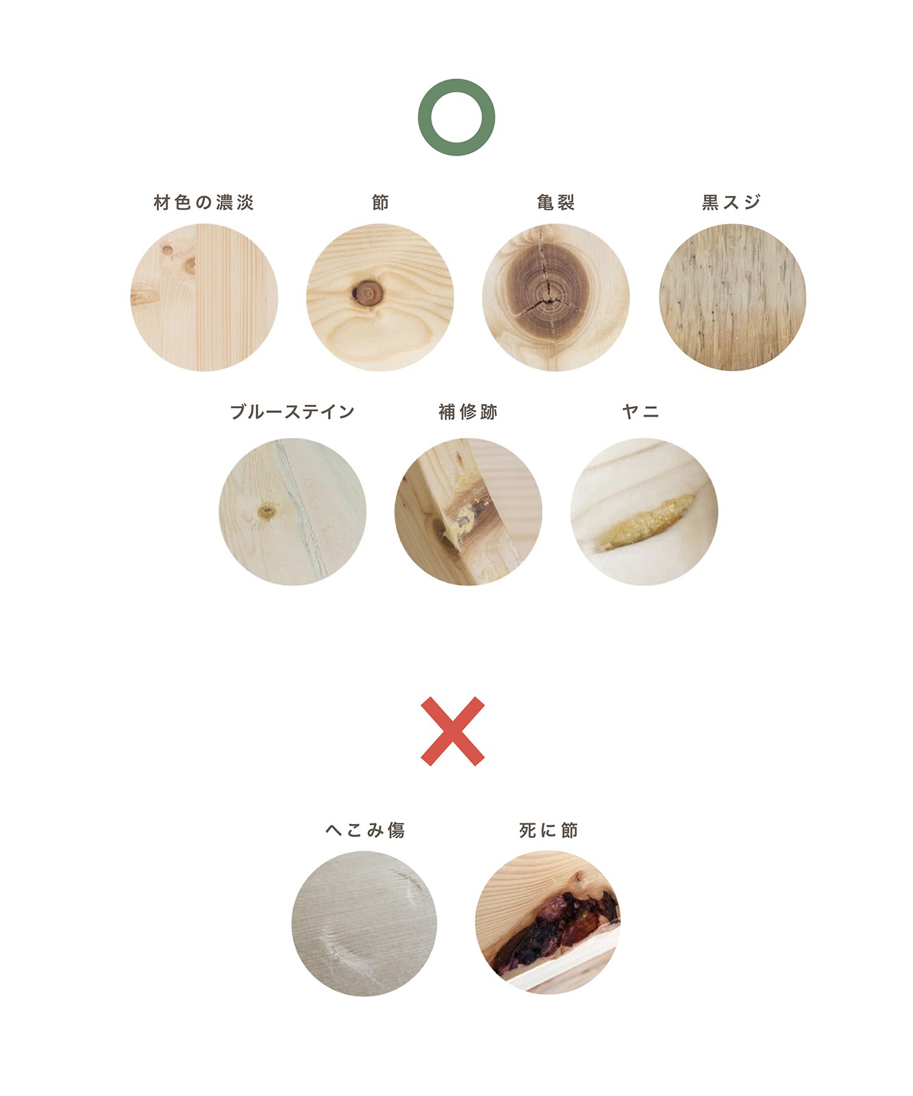キャットステップ2個セット【オマケ付】　MYZOO（マイズー ）LACK 【M】 楽天市場】キャットステップ MYZOO マイズー Lack M キャット
