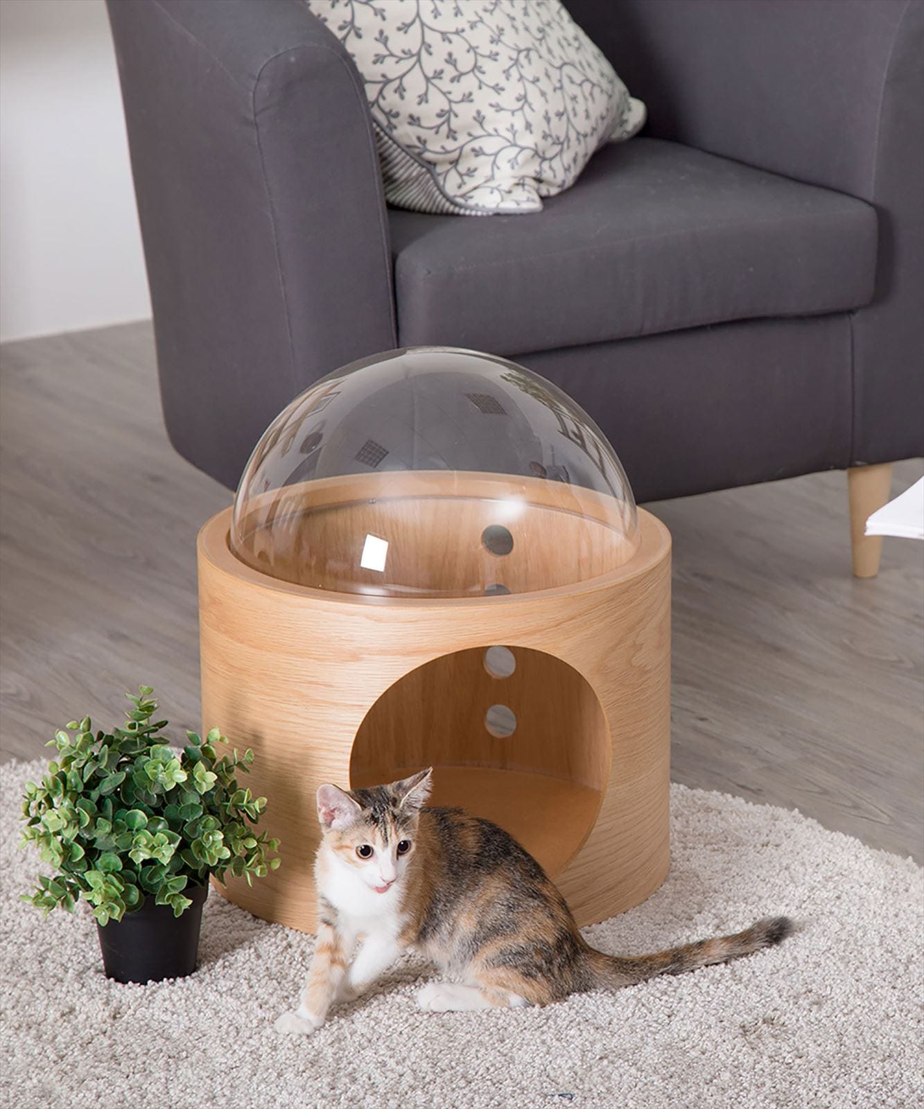 MYZOO〈マイズー〉宇宙船ガンマ ネコハウス（左開き・ウォールナット