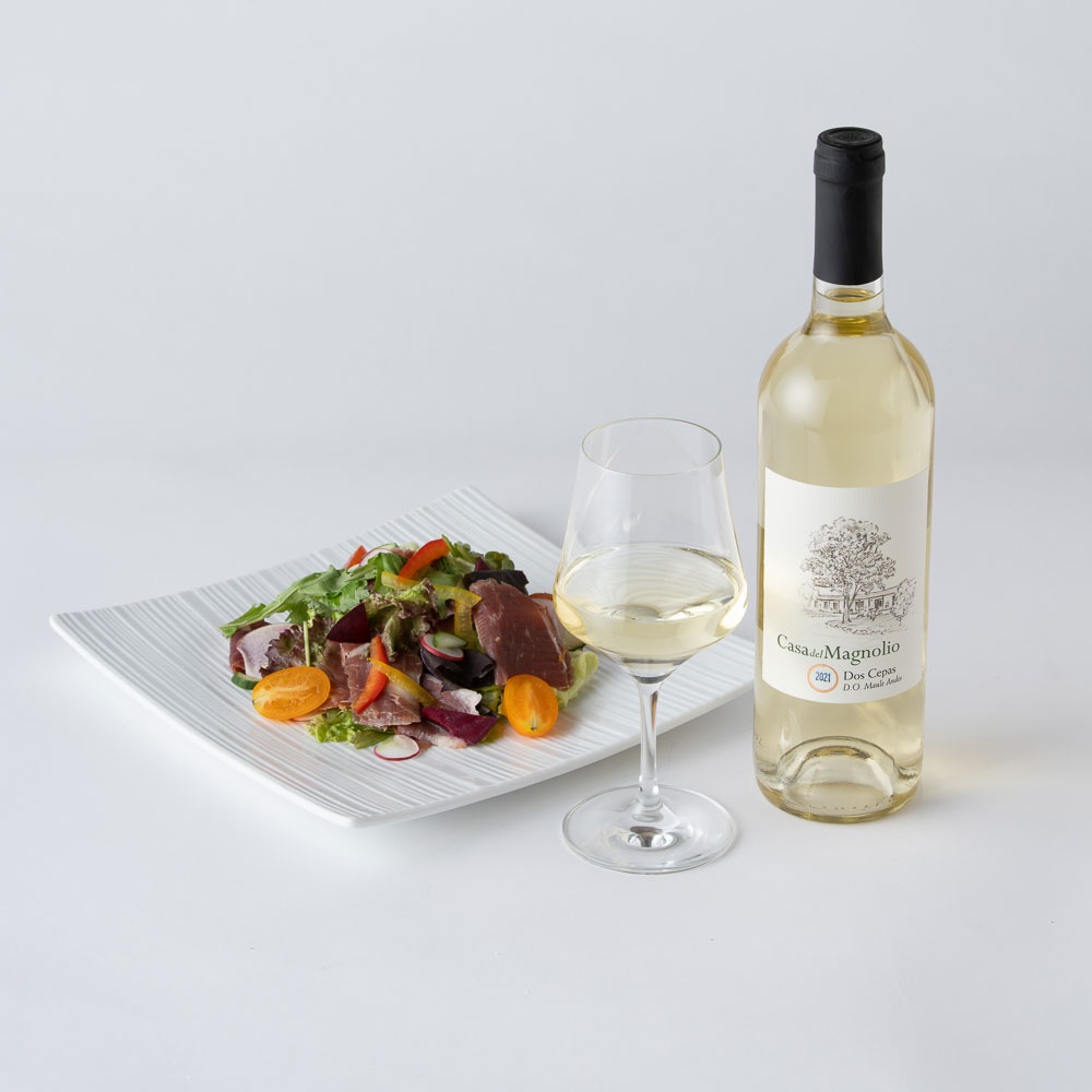 チリ産【白】<p>カーサ デル マグニョリオ <p>ドス セパス 2021