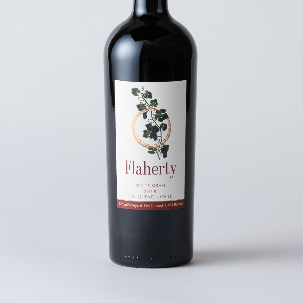 チリ産【赤】(18ヶ月熟成) 　<p>プティ シラー 2019</p>