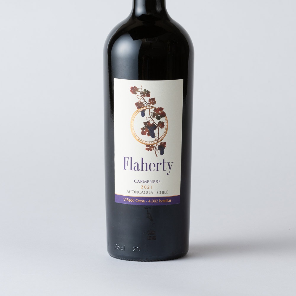 チリ産【赤】(16ヶ月熟成) 　<p>カルメネール ヴィネドオコア 2021</p>