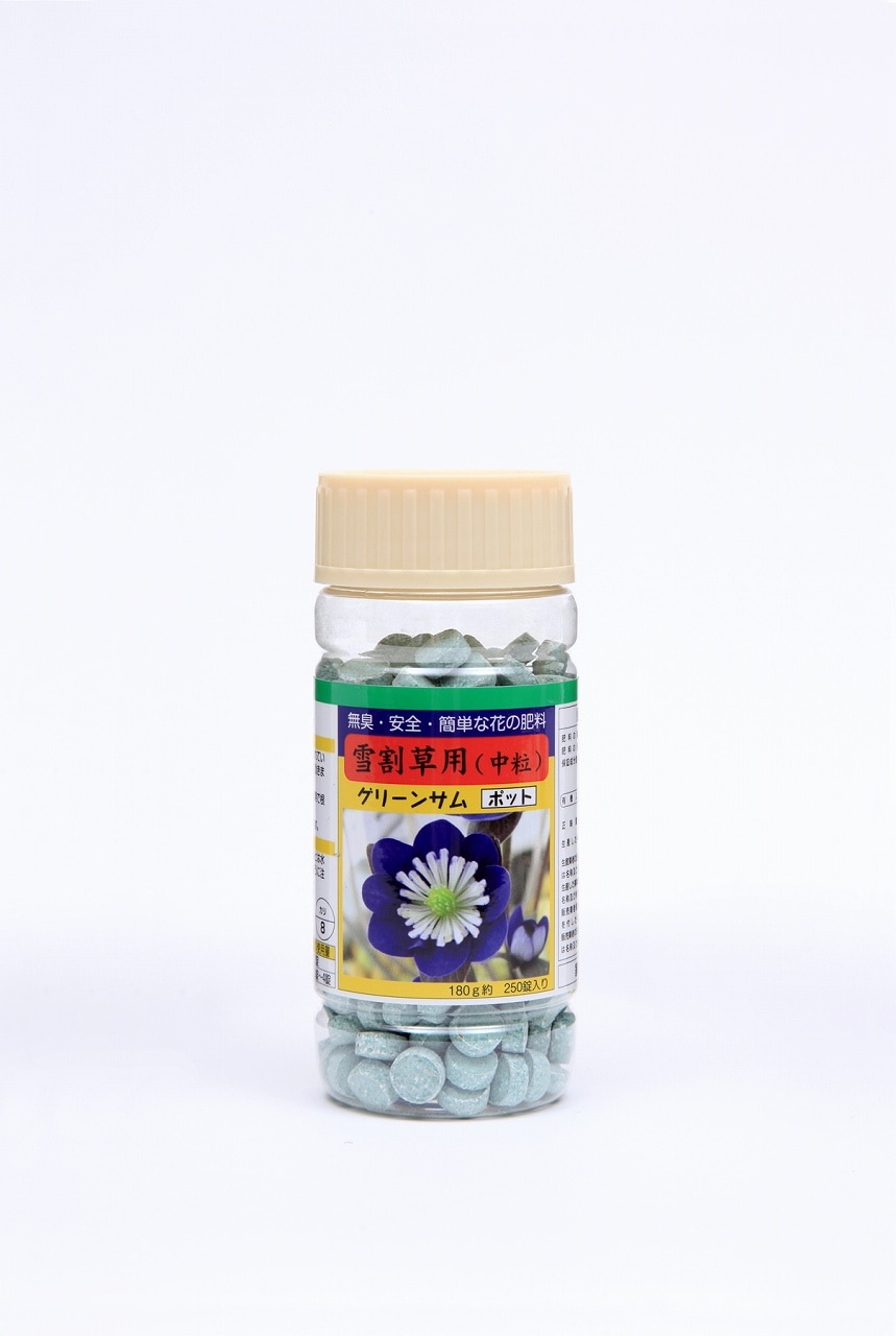 グリーンサムポット（中粒） 1kg