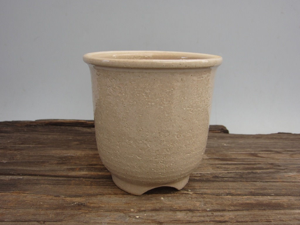 信楽焼巨匠 澤清嗣作 鉢 お値下げしました。お買い得です 白秀鉢(信楽焼) 3.0号(直径約10cm 高さ約10.5cm) | 白秀鉢（信楽焼