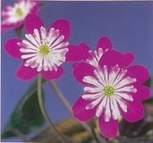 �����־��ȡʤ��礦�����ˡס����ʺ��