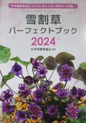 �����ѡ��ե����ȥ֥å�����������𶨲񡡴ƽ���2024