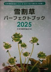 �����ѡ��ե����ȥ֥å�����������𶨲񡡴ƽ���2025