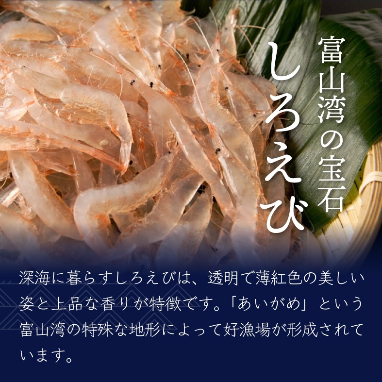 ����������[9������] �ץ�ߥ����򤨤Ӥ���٤�