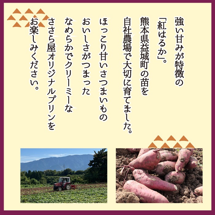 �Ƥ�����ץ��[88g]