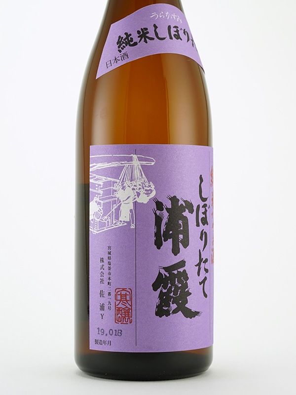 浦霞 しぼりたて 純米 生酒 720ml ※クール便推奨