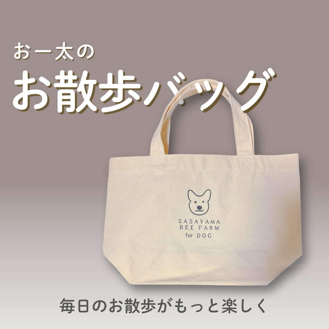 10/1より【新発売】｜□おー太のお散歩バッグ // 雑貨 // 送料無料