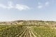 L'Abate Primitivo Matera DOP