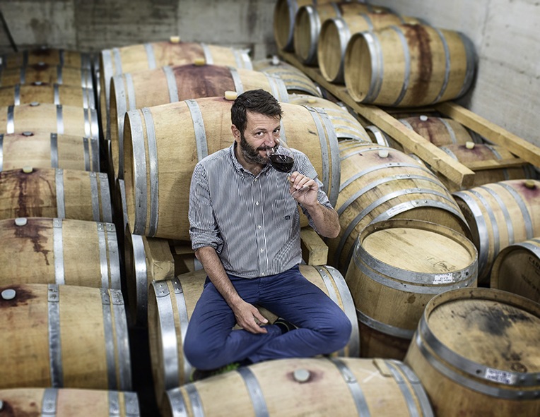 Camporeale Falanghina IGT