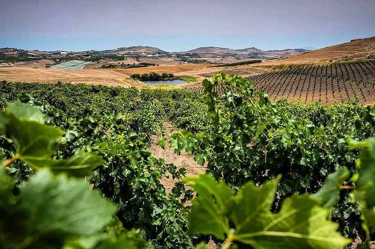 Nero d'Avola Khora Sicilia DOC