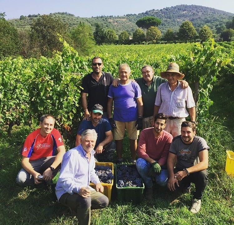 Vinsanto Cortona DOC