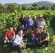 Vinsanto Cortona DOC