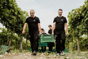 Montepulciano d'Abruzzo DOC