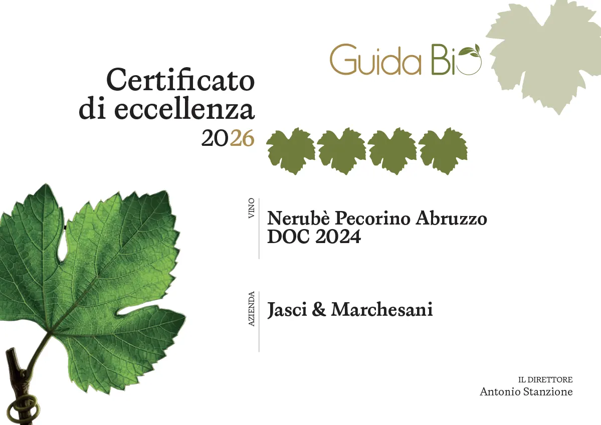 Nerube Pecorino DOC