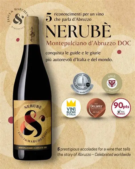 Nerube Montepulciano d'Abruzzo DOC 2023